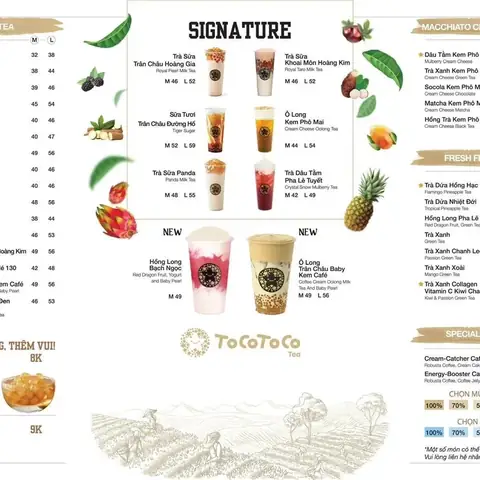 Menu Trà Sữa Tocotoco Mới Nhất: Thực Đơn Chi Tiết Giá, Top Món Ngon & Combo Ưu Đãi