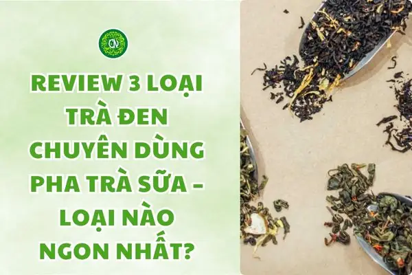 Top 7+ Loại Trà Đen Pha Trà Sữa Ngon Nhất, Phổ Biến Hiện Nay (review Chi Tiết Cho Chủ Quán & Làm Tại Gia)