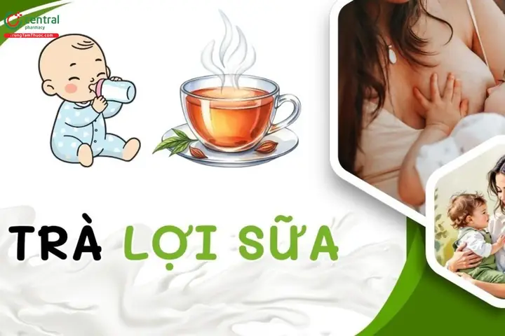 Uống Trà Lợi Sữa Có Tốt Không? Tác Dụng, Lưu Ý An Toàn & Top Loại Trà Hiệu Quả Cho Mẹ Sau Sinh