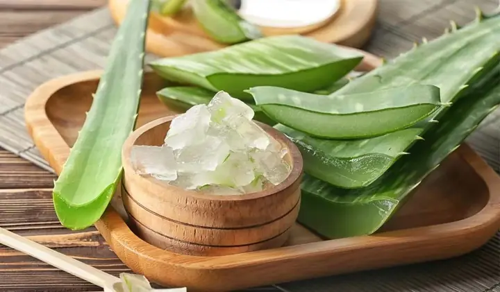 Cách Làm Trà Sữa Nha Đam Tại Nhà Ngon Chuẩn Quán: 4 Công Thức Phổ Biến Từ Cơ Bản Đến Biến Thể