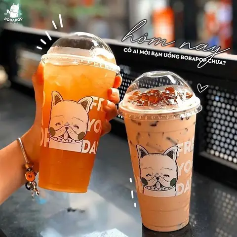 Top 20+ Quán Trà Sữa Đà Lạt Ngon - View Đẹp - Chọn Theo Tuyến Đường Du Lịch (cập Nhật 2026)