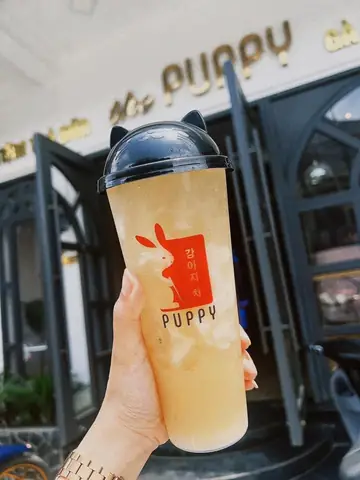Top 10+ Quán Trà Sữa Sapa Ngon, Chất Lượng, Hot Hit Nhất Năm 2026