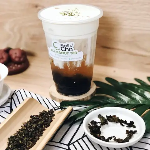 Lý Do Uống Trà Sữa Bị Mệt, Chóng Mặt Và Cách Khắc Phục Say Trà Hiệu Quả Nhất