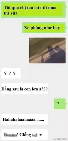 Tổng Hợp Ảnh & Video Chó Cưng Đi Mua Trà Sữa Dễ Thương, Viral Tiktok Mới Nhất