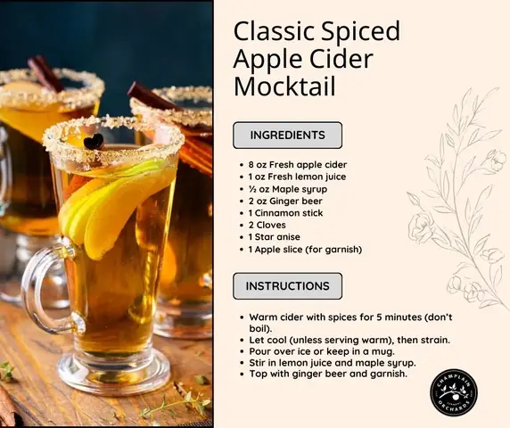 Apple Cider Mocktail Recipe: How To Make An Easy Non-alcoholic Fall Drink