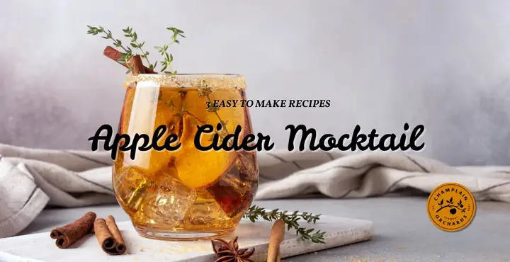 Apple Cider Mocktail Recipe: How To Make An Easy Non-alcoholic Fall Drink