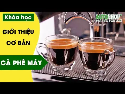 Autoshop (vua Máy Pha Chế): Thông Tin Liên Hệ, Địa Chỉ, Sản Phẩm & Dịch Vụ Chính Hãng 2026 1 Autoshop (vua Máy Pha Chế): Thông Tin Liên Hệ, Địa Chỉ, Sản Phẩm & Dịch Vụ Chính Hãng 2024