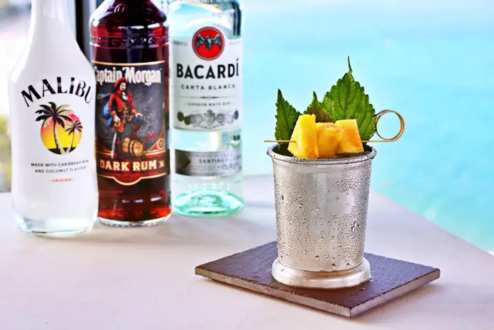 Tổng Hợp Các Loại Cocktail Pha Chế Từ Rượu Rum Kinh Điển Và Cách Pha Đơn Giản Tại Nhà