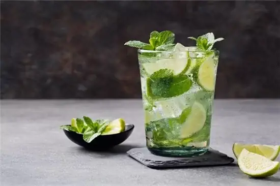 Cách Pha Chế Mojito Bạc Hà Chuẩn Vị Thanh Mát Tại Nhà