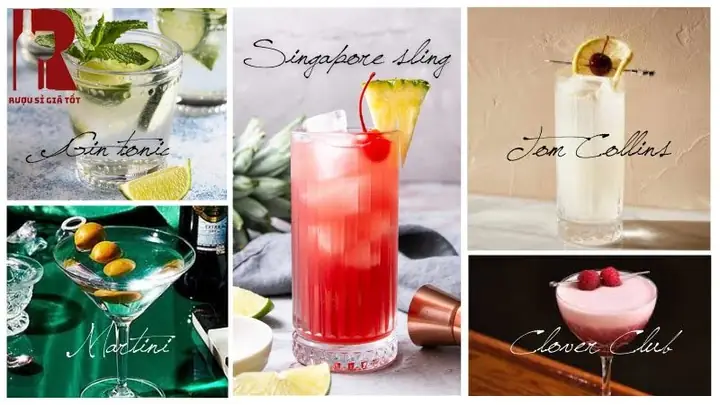 Tổng Hợp Các Loại Cocktail Từ Gin Kinh Điển Và Cách Pha Chuẩn Vị