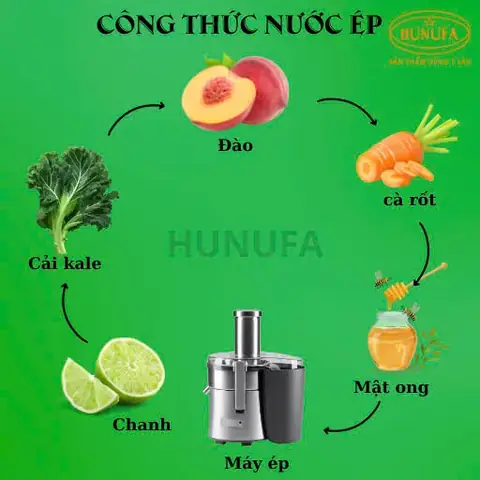 Tổng Hợp 50+ Công Thức Nước Ép Trái Cây Theo Mục Đích: Giảm Cân, Đẹp Da, Tăng Sức Khỏe, Kinh Doanh (kèm Cách Kết Hợp Chuẩn Dinh Dưỡng)