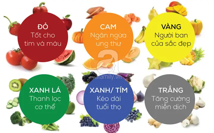 Tổng Hợp 20+ Công Thức Sinh Tô Giảm Cân Dễ Làm Tại Nhà: Giảm Mỡ Bụng, Detox, Đẹp Da