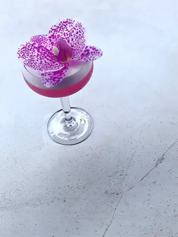 Cách Làm Cocktail Thanh Long (dragon Fruit) Với Gin: 5+ Công Thức Chuẩn Bar Từ Collins, Sour Đến Spritz