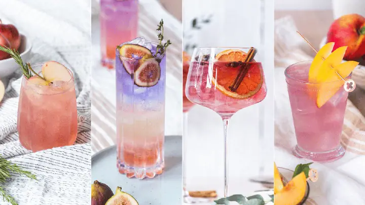 Fall Gin Cocktails: 12+ Công Thức Cocktail Gin Mùa Thu Dễ Pha Tại Nhà 1 Fall Gin Cocktails: 12+ Công Thức Cocktail Gin Mùa Thu Dễ Pha Tại Nhà