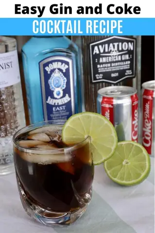 Cách Pha Cocktail Gin Cola Đơn Giản, Chuẩn Vị Ngay Tại Nhà