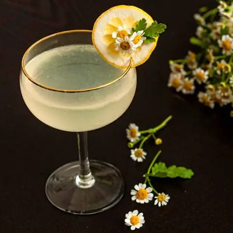 Cách Làm Lemon Twist & Các Kiểu Lemon Garnish Cho Cocktail Tại Nhà
