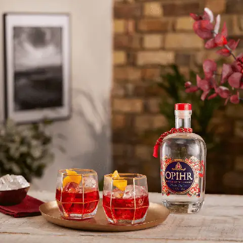 Opihr Gin Cocktails: Top Recipes & Complete Mixing Guide For Spiced Gin