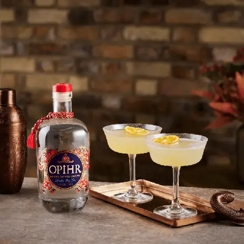Opihr Gin Cocktails: Top Recipes & Complete Mixing Guide For Spiced Gin