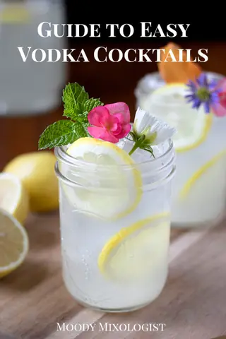 15 Simple Vodka Cocktails To Make At Home In Minutes