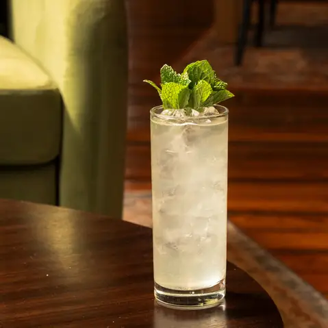 South Side Fizz Cocktail Recipe