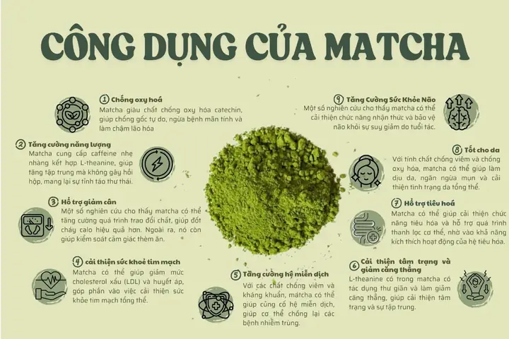 Tác Dụng Của Bột Trà Xanh Matcha: 10+ Lợi Ích Sức Khỏe, Làm Đẹp, Cách Dùng Đúng Và Lưu Ý Quan Trọng